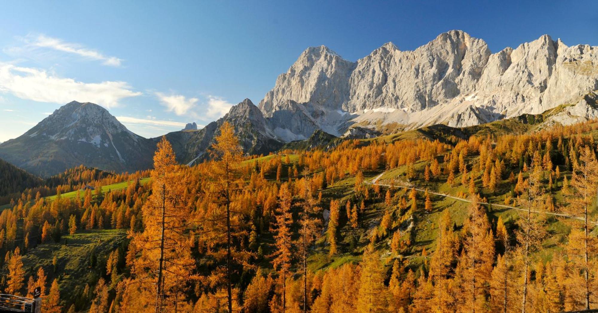 Naturchalet Hoeflehner - Heimgefuehl & Ruhelage An Loipe & Wanderweg Ramsau am Dachstein Kültér fotó