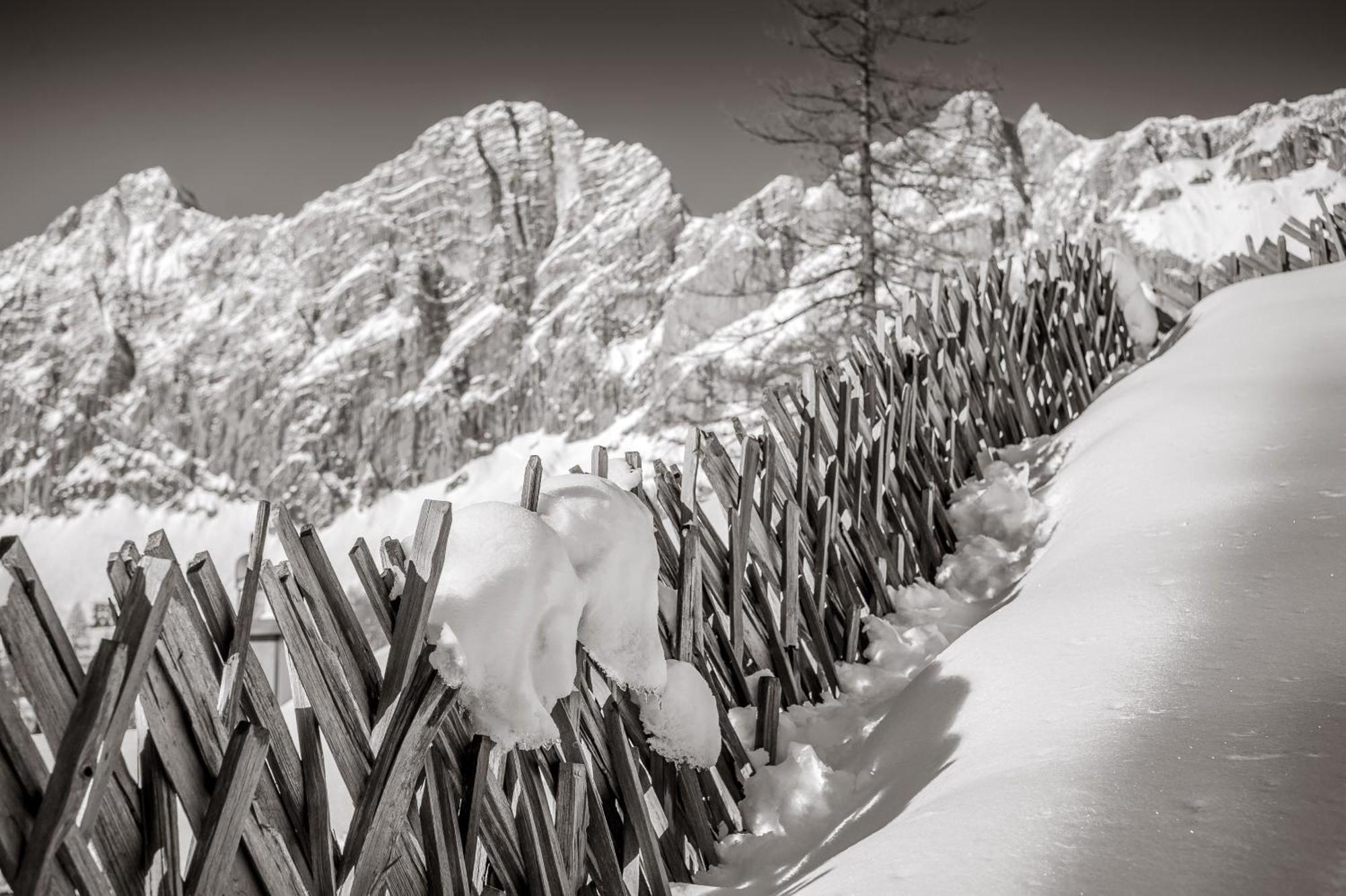 Naturchalet Hoeflehner - Heimgefuehl & Ruhelage An Loipe & Wanderweg Ramsau am Dachstein Kültér fotó